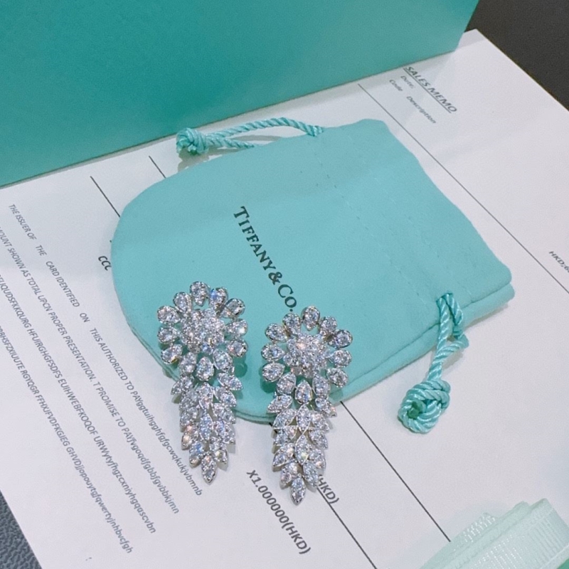 T*f*ny earrings